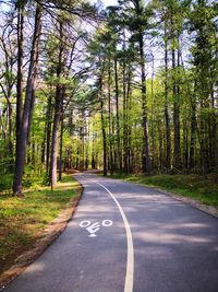 Road amidst trees in forest