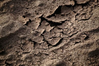 Full frame shot of cracked land
