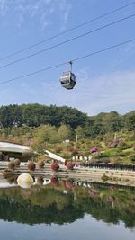 Reflection of birds swimming in lake