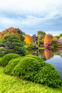 Scenic view of lake by trees against sky during autumn