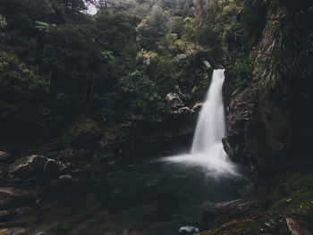 Waterfall in forest