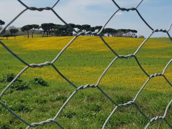 Close-up of soccer field against sky