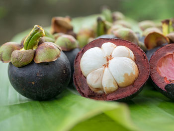 Close-up of fruits on table