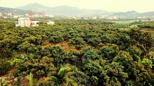 Scenic view of mountains