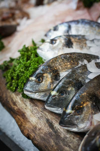 Close-up of fish for sale in market