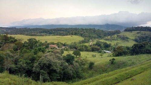 Green in brazil