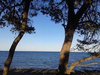 Scenic view of sea against clear sky