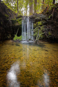 View of waterfall in forest