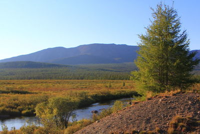 Scenic view of lake against clear sky