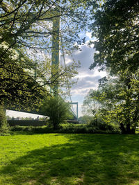 Trees and plants on field