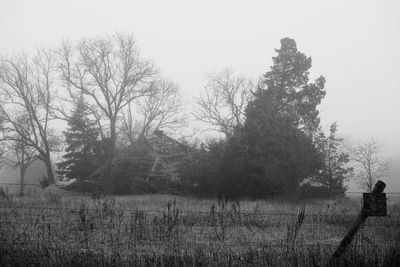 Bare trees on field against clear sky