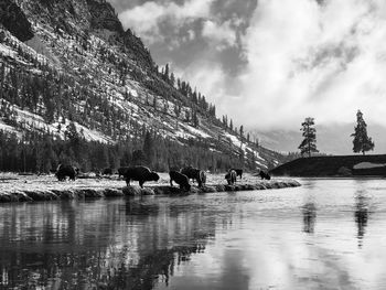 Scenic view of lake against sky