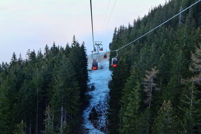 Road amidst trees in forest against sky
