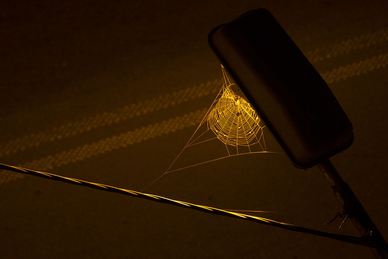 CLOSE-UP OF ILLUMINATED LIGHT BULB