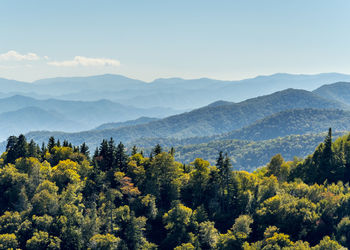 Smoky mountains national park, newfound gap, border of north carolina and tennessee, united states