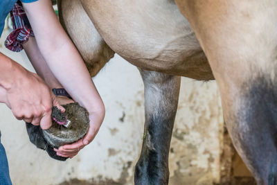 Cropped hands of people removing horseshoe