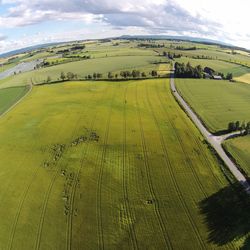 Aerial view of landscape