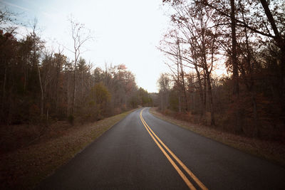 Empty road along trees in forest