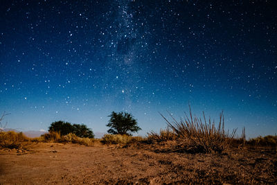 Scenic view of stars and the night sky with milky way in san pedro de atacama desert