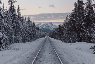 Snow covered railroad track amidst trees against sky