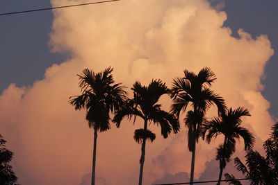 Grow for the future of the earth