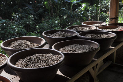 High angle view of roasted coffee beans in containers