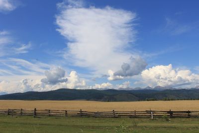 Scenic view of field against sky