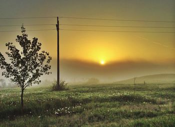 Scenic view of landscape at sunset