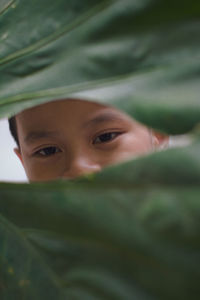 Close-up portrait of boy looking through leaves