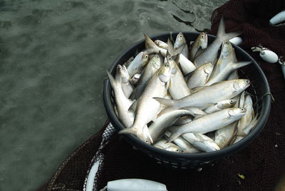 High angle view of fish in basket