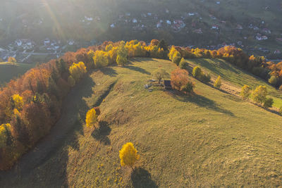 High angle view of plants on mountain