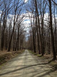 Empty road along trees