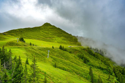 Scenic view of green landscape against sky