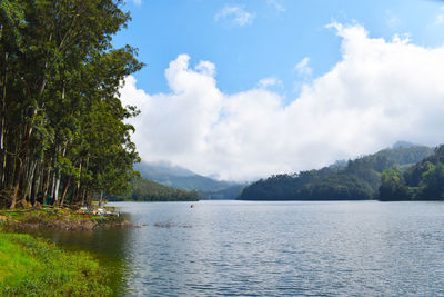 Scenic view of lake by trees against sky