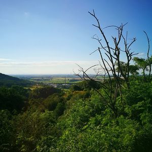 Scenic view of grassy field against sky