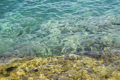 High angle view of rippled water