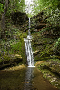 Waterfall in forest