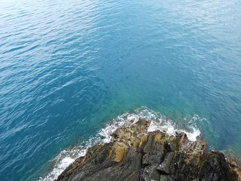 High angle view of rock formation in sea