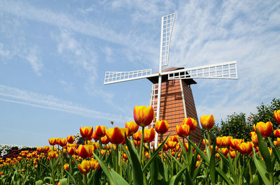 Low angle view of traditional windmill on field against sky