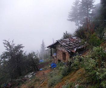 View of house with trees in background