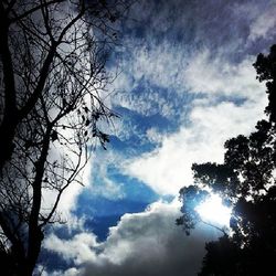 Low angle view of trees against cloudy sky