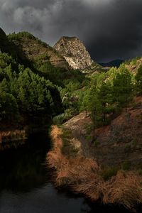 Scenic view of river amidst trees against sky