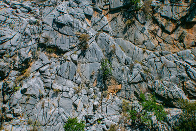 Full frame shot of rocks on field