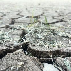 Close-up of rocks