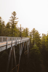 Bridge in forest against clear sky