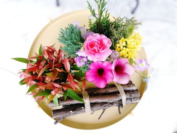 High angle view of pink flowering plant on table