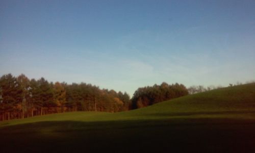 Trees on field against sky