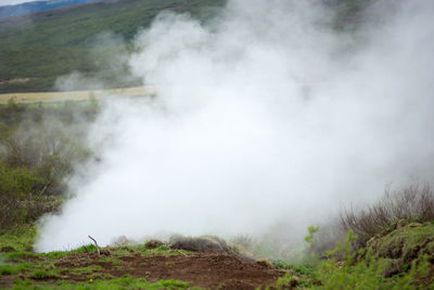Geothermal active zone in hveragerdi, iceland with volcanic hot spring, fumarola