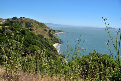 Scenic view of sea against clear blue sky