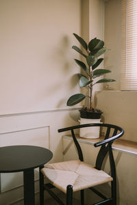 Potted plant on table at cafe